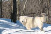 portee2010