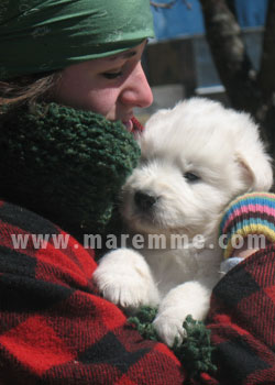 portee2010